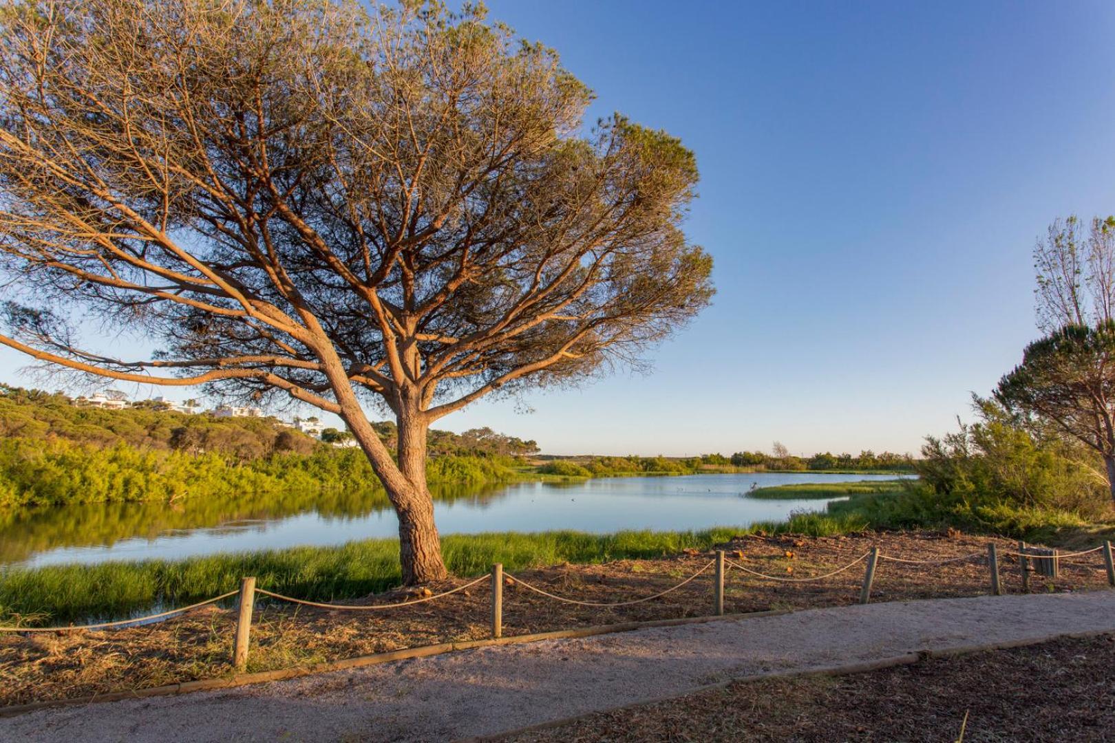 Orange Tree Oasis * Vilamoura
